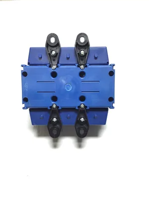 Kraus & Naimer KG250 T303/DKA358 VE Main Switch
