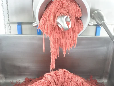 PSS Model SCG 200 Frozen Block Industrial Meat Grinder