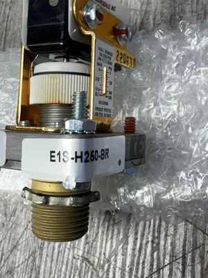 BARKSDALE E1S-H250-BR Electrical Equipment/Supplies | ESS Industrial Equipment Sales (11)