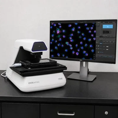 Used INVITROGEN EVOS M7000 Microscopes New Jersey US | Bionex Scientific LLC #800497