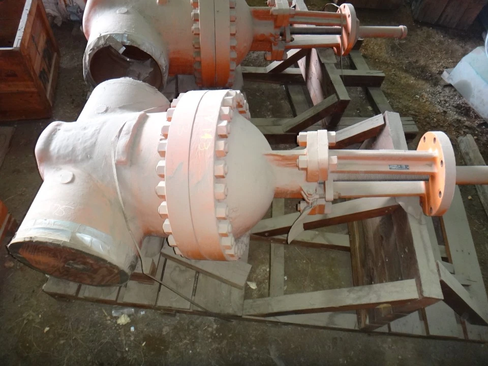 Pacific 20" 400 lb Gate Valve