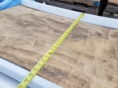 7' Berry Inspection Conveyor