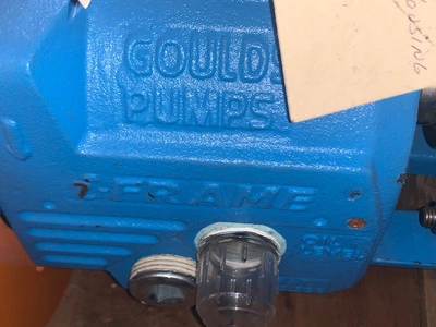 USED Goulds 3196 STi