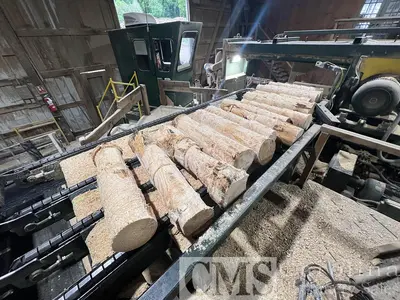 USED PENDU COMPLETE PENDU CUT STOCK OPERATION - SCRAGG, GANG RIP, STACKER