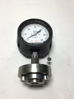 AMETEK U.S. Pressure Gauge Assembly 0–60 PSI Liquid Filled Diaphragm Seal