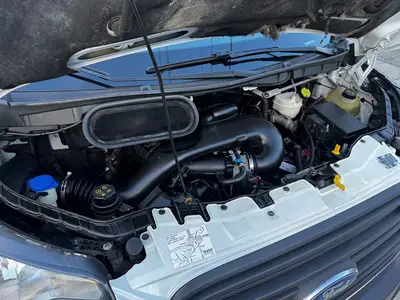 Used 2019 FORD TRANSIT Bucket (boom) trucks Florida US | Truck and Van Outlet #1509208