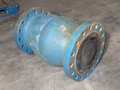 10" Class 300 Flanged Check Valve B16.34