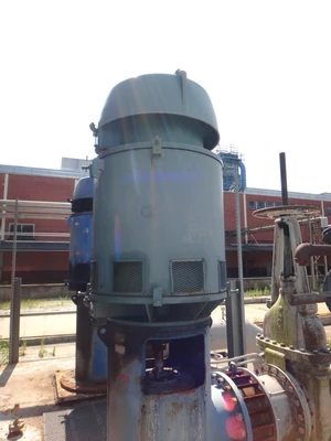 Louis-Allis 600 HP, 1200 RPM Vertical MOTOR