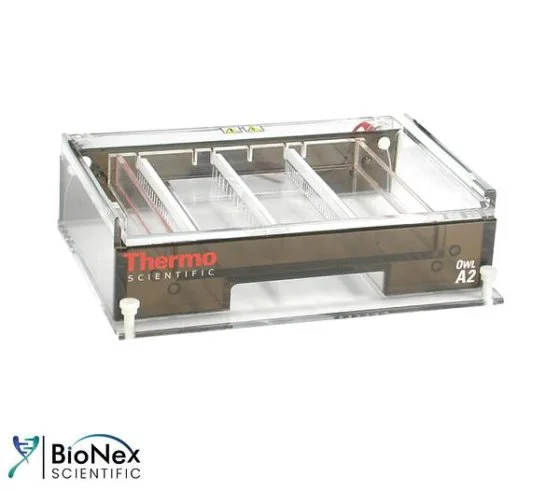 Used THERMO FISHER SCIENTIFIC OWL A2 GEL SYSTEM Electrophoresis New Jersey US | Bionex Scientific LLC #800643
