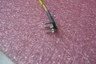 NEW Coaxial Cable SMA(F)/4