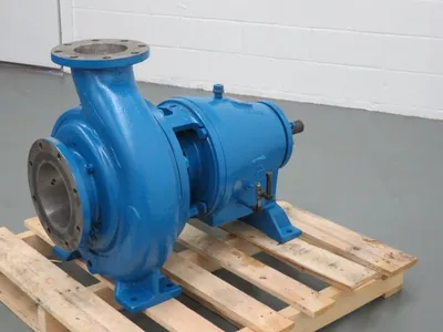 USED Goulds 3175