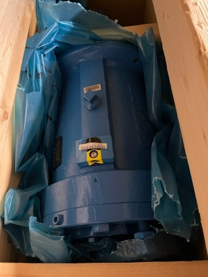 USED Goulds 3196 XLTi