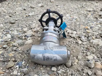 1" Class 800 Globe Valve API 602