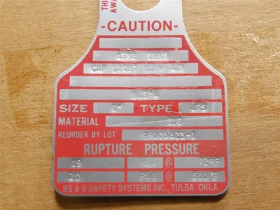 BS&B Safety Systems 6" 98005823-1 Rupture Disc 20 PSIG @ 500°F 90374 New