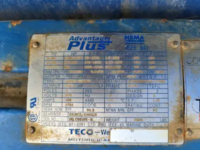 USED GOULDS 3196