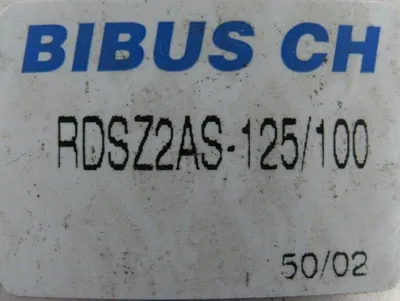 NEW BIBUS CH RDSZ2AS-125/100 CYLINDER RDSZ2AS125100 BUHLER
