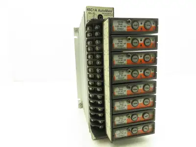 Reliance Electric 45C1A AutoMate Programmable Controller W/8 Dual 24V Outputs