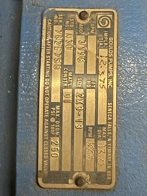 USED Goulds 3196 MTX