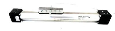 NEW PARKER P124-S/25X13-BM RODLESS CYLINDER P124S25X13BM