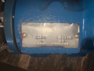 USED Goulds 3199