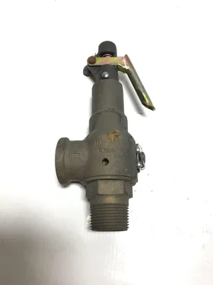 Kunkle 60100EEM01 AM Bronze Relief Valve 3/4NPT 125 PSI B283C485