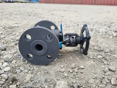 1" Class 300 Gate Valve API 602