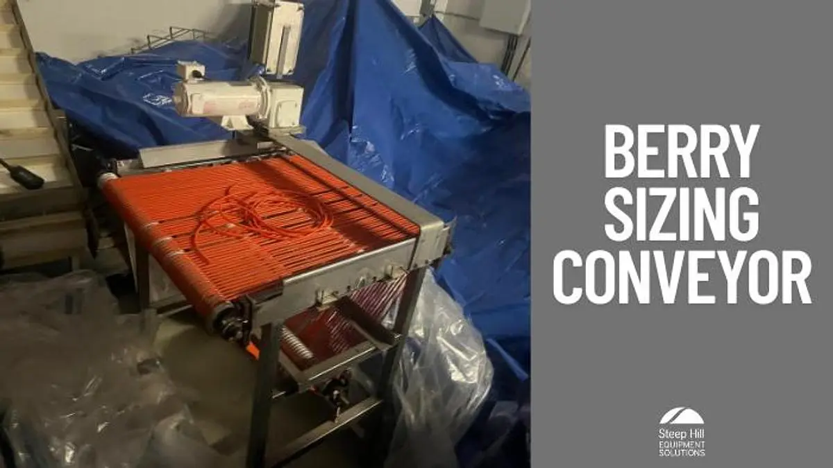 Berry Sizing Conveyor