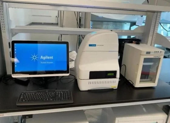 Used AGILENT - KEYSIGHT XFE96 Cell Analysis New Jersey US | Bionex Scientific LLC #800369