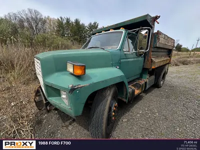 Used 1988 FORD F700 Dump trucks New Jersey US | Proxy Equipment #1388692