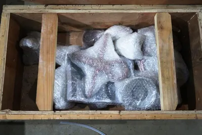 (4) Alfa-Laval MOPX 207 SGT-24-60 oil purifier skids, SS.