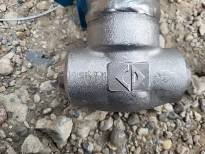 1" Class 800 Globe Valve API 602