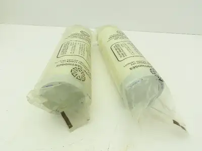 Gelman 12570 Acroflow II Filter Cartridge 0.2 um 10"  LOT OF 2
