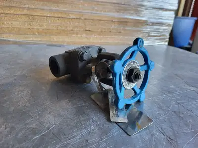 3/4" Class 800 Gate Valve B16.34