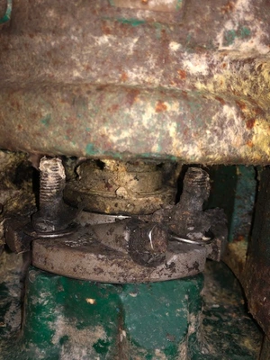 USED Goulds 3180