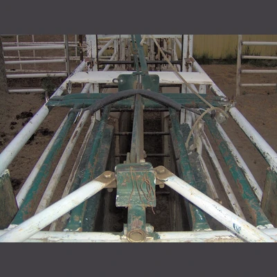 Custom Built Roping Chutes.