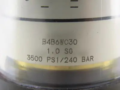 Lake Monitors B4B6WC30 Basic Variable Area Flow Meter 3500PSI 1"NPT