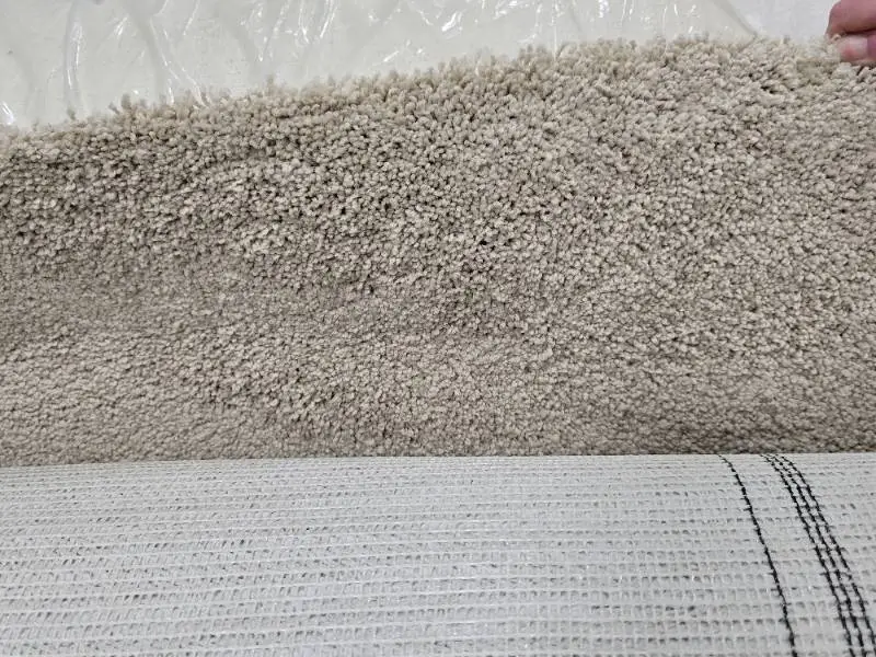 504 sq. ft of Shaw Carpet