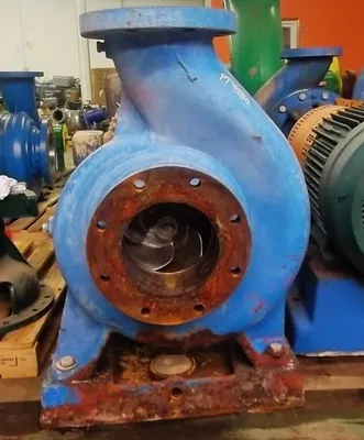 USED Goulds 3175