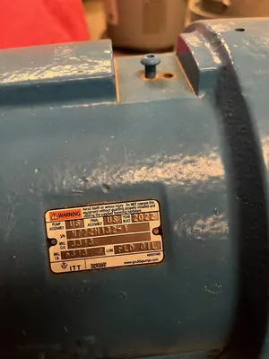 USED Goulds 3196 XLTi