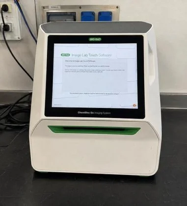Used BIO-RAD CHEMIDOC GO Imaging Systems / Molecular Imagers New Jersey US | Bionex Scientific LLC #1345053