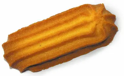 MIMAC BABYDROP EASY, TWIST OR MAXX Cookie Depositor | Harvest Equipment and Fabrication Inc (15)