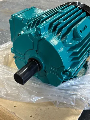 BROOK CROMPTON WP-DF182TS-M2 ELECTRIC MOTORS | ESS Industrial Equipment Sales (4)