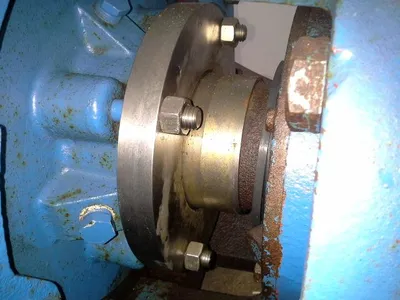 USED Goulds 3175
