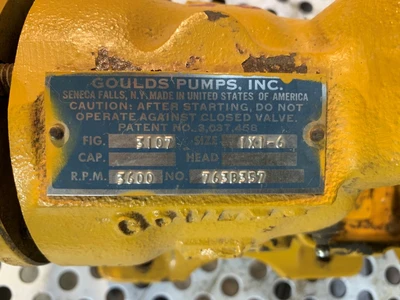 USED GOULDS 3107