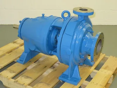 USED Goulds 3175