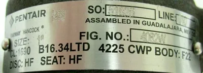 NEW PENTAIR 4082W-F22 CHECK VALVE 1" 54082W1CP 1690 4082WF22