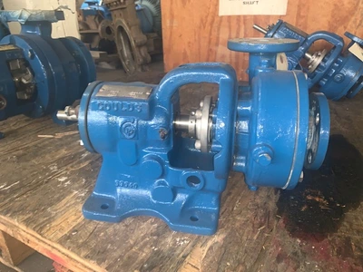 USED Goulds 3199