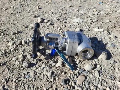3/4" Class 800 Gate Valve API 602