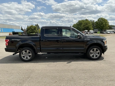 Used 2019 FORD F150 Pickup Trucks Michigan US | Miedema Asset Management Group #1324236