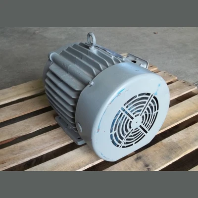 Crown Triton 7.5 HP Motor